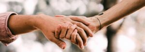 Read more about the article Wellness